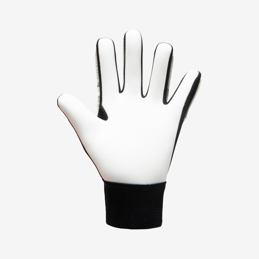 IMG_8886767_5