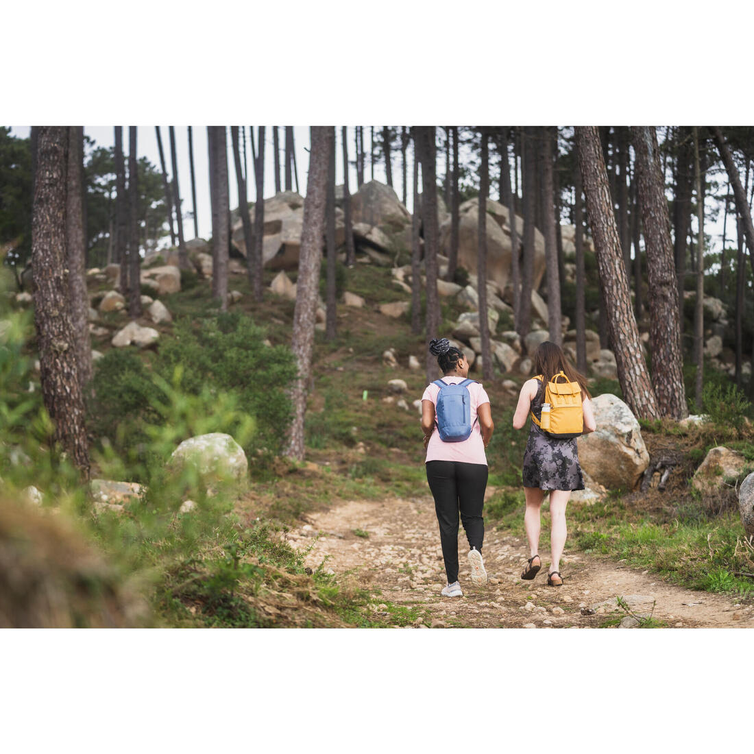 IMG_8775637_13