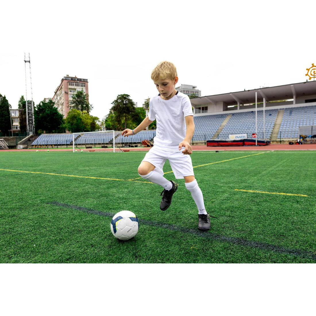 IMG_8558493_7