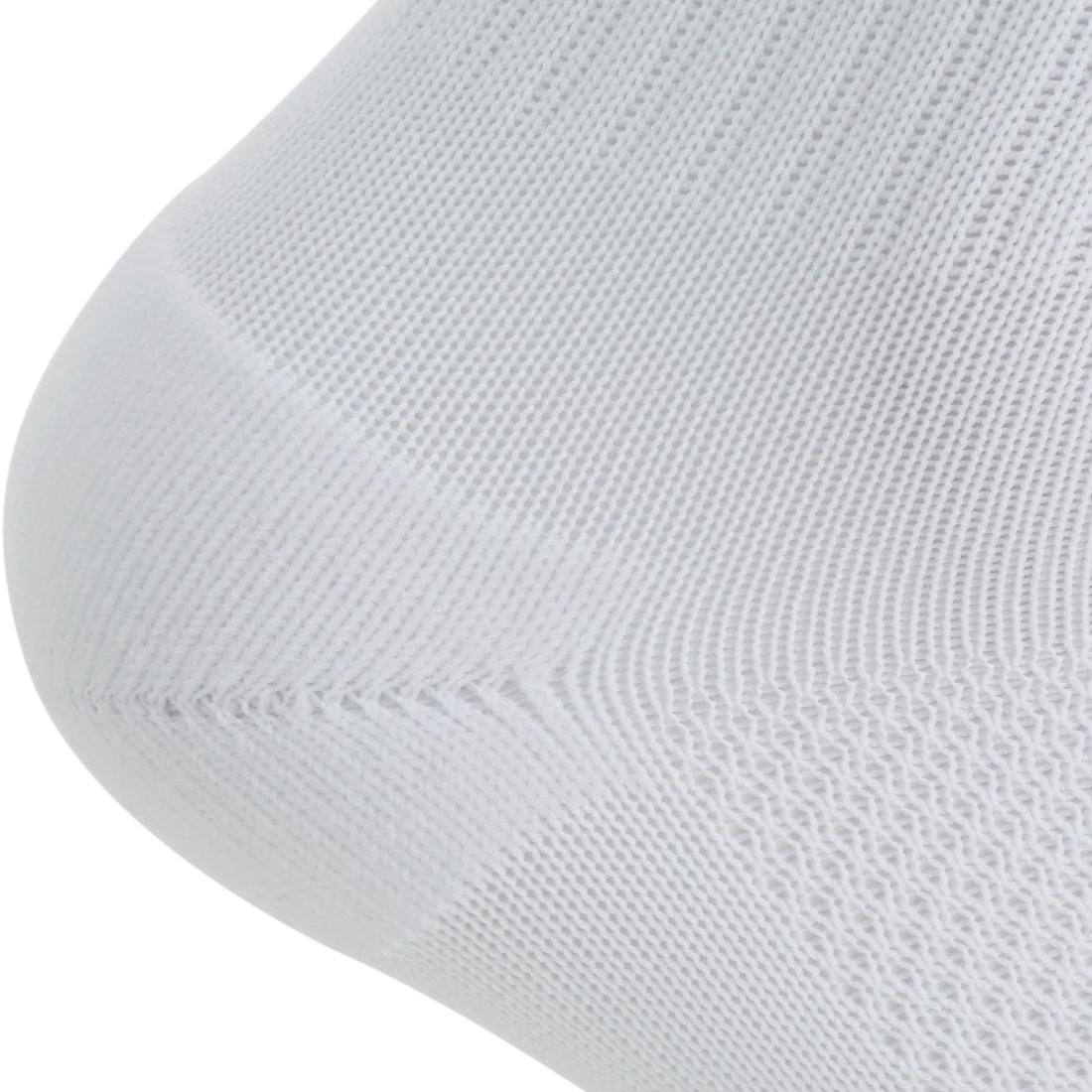 IMG_8350117_12