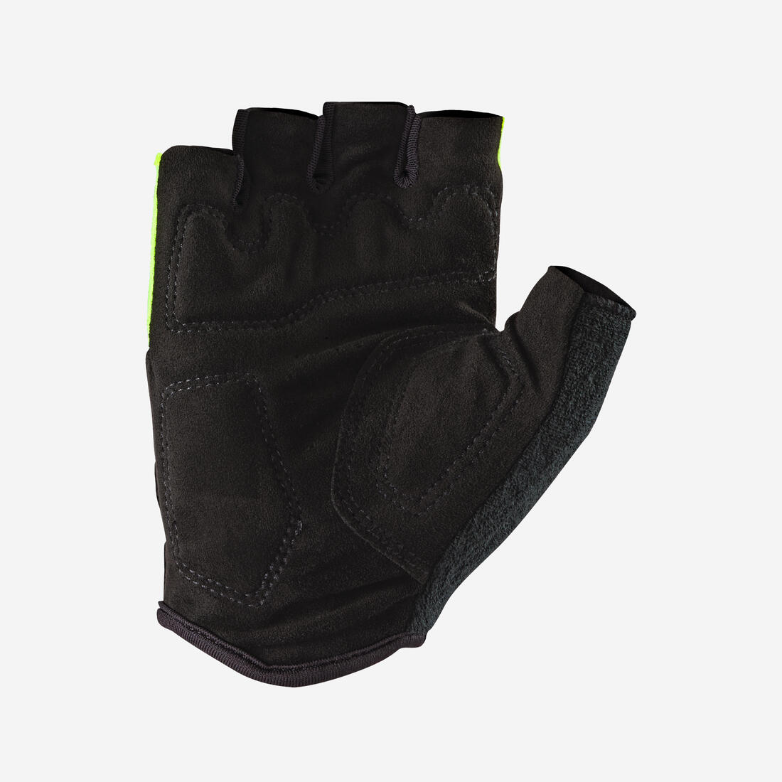 IMG_2982395