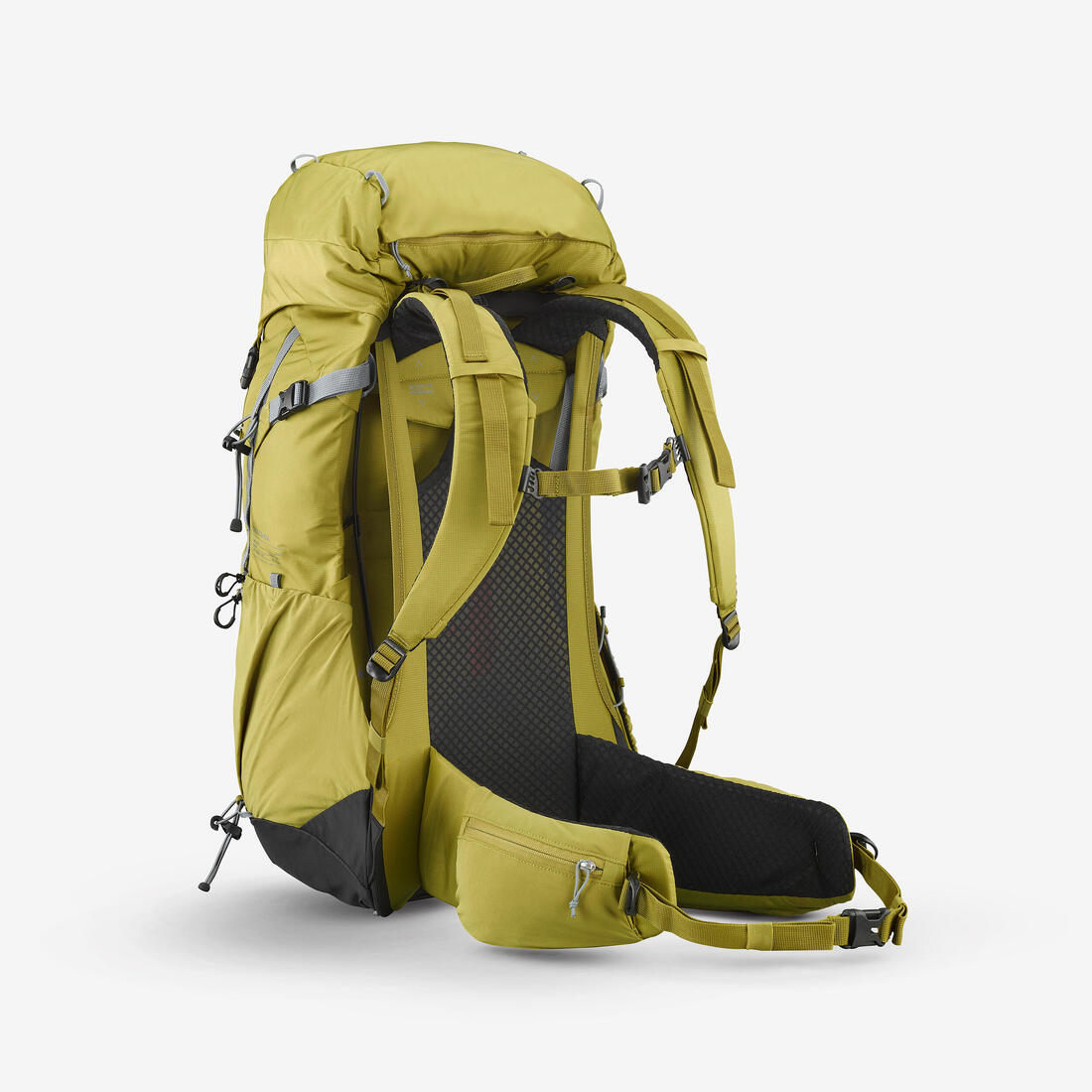 IMG_8903408_2