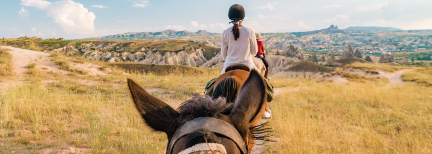 Horse Riding for Beginners