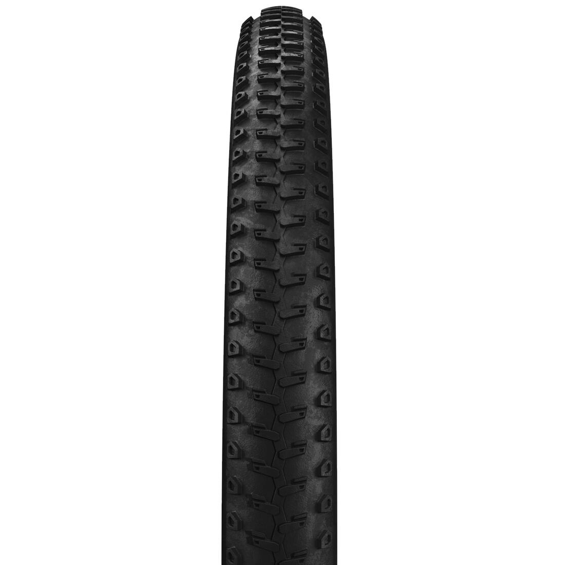 IMG_8299590_2