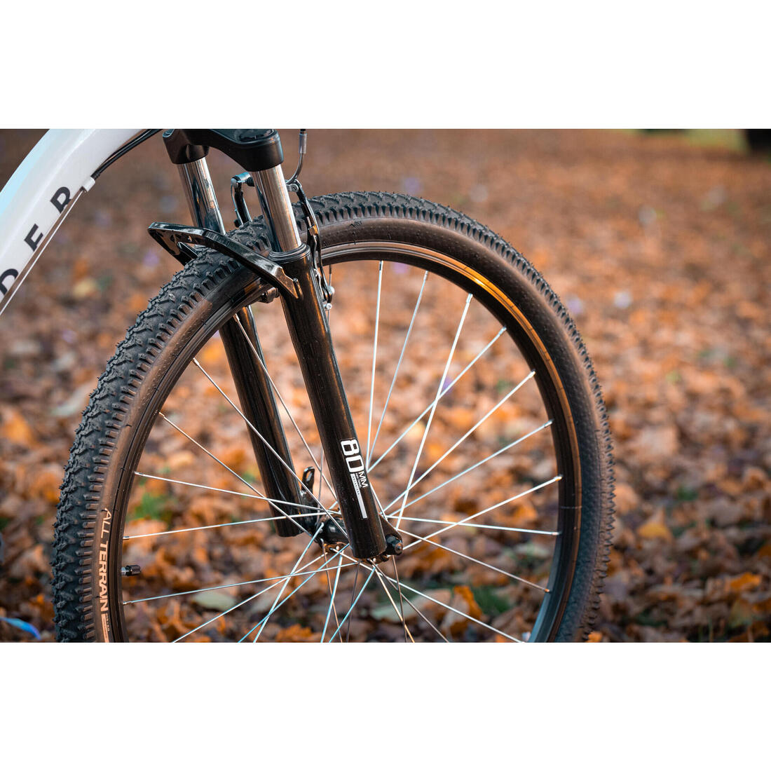 IMG_8802151_10