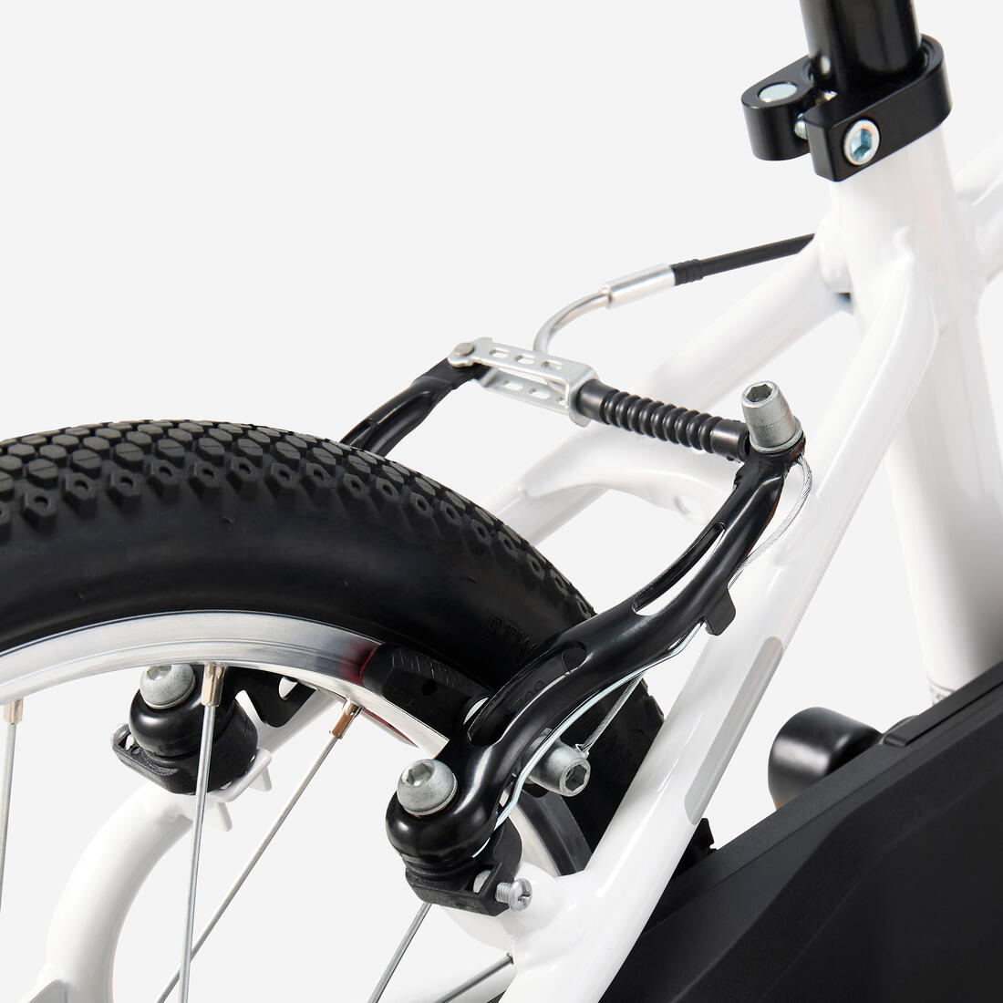 IMG_8901288_7