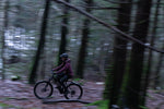 Product thumbnail 21 of 48
