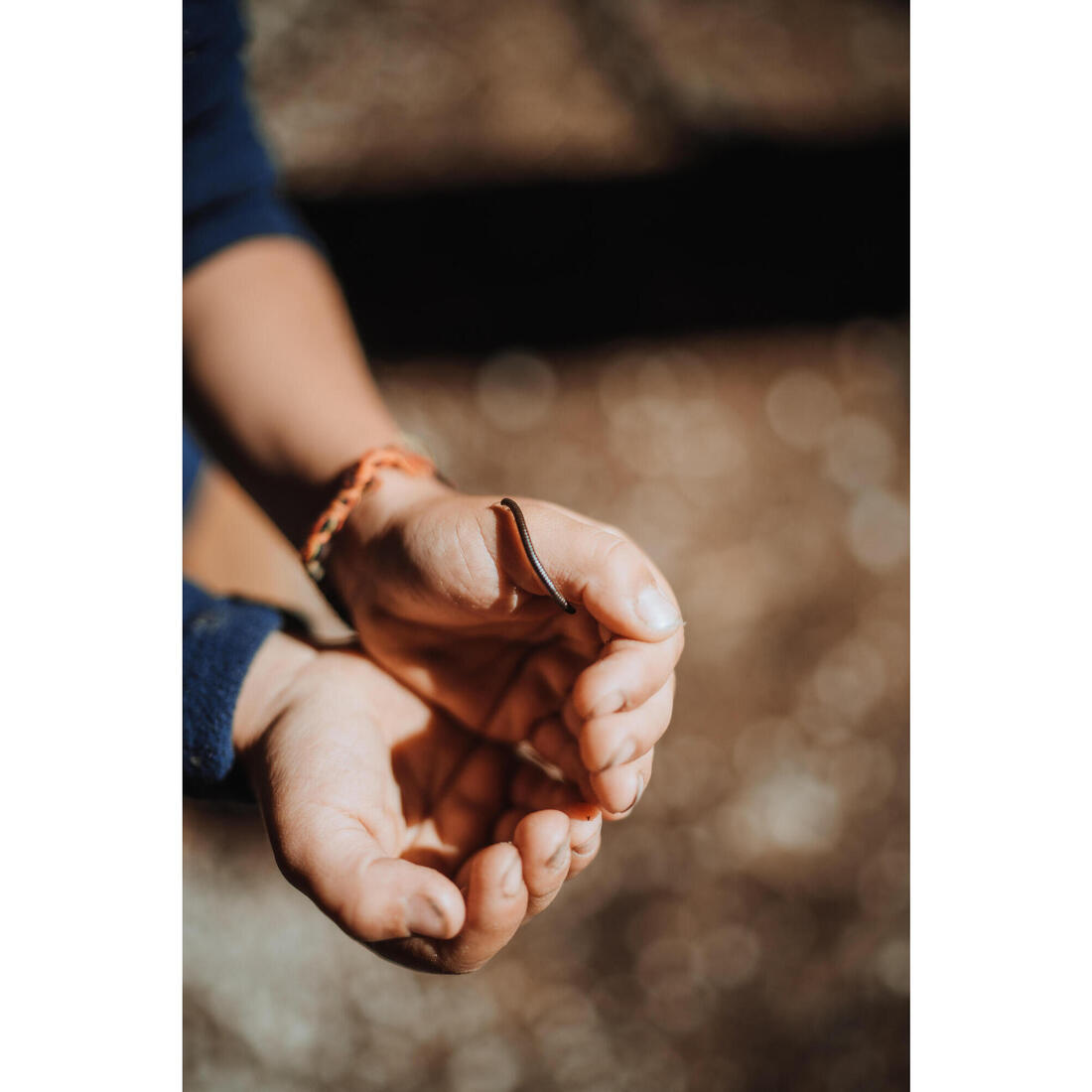 IMG_8552066_14