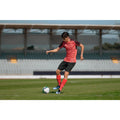 IMG_8911371_8