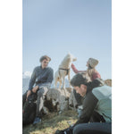 Product thumbnail 5 of 5
