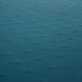 IMG_8601381_8