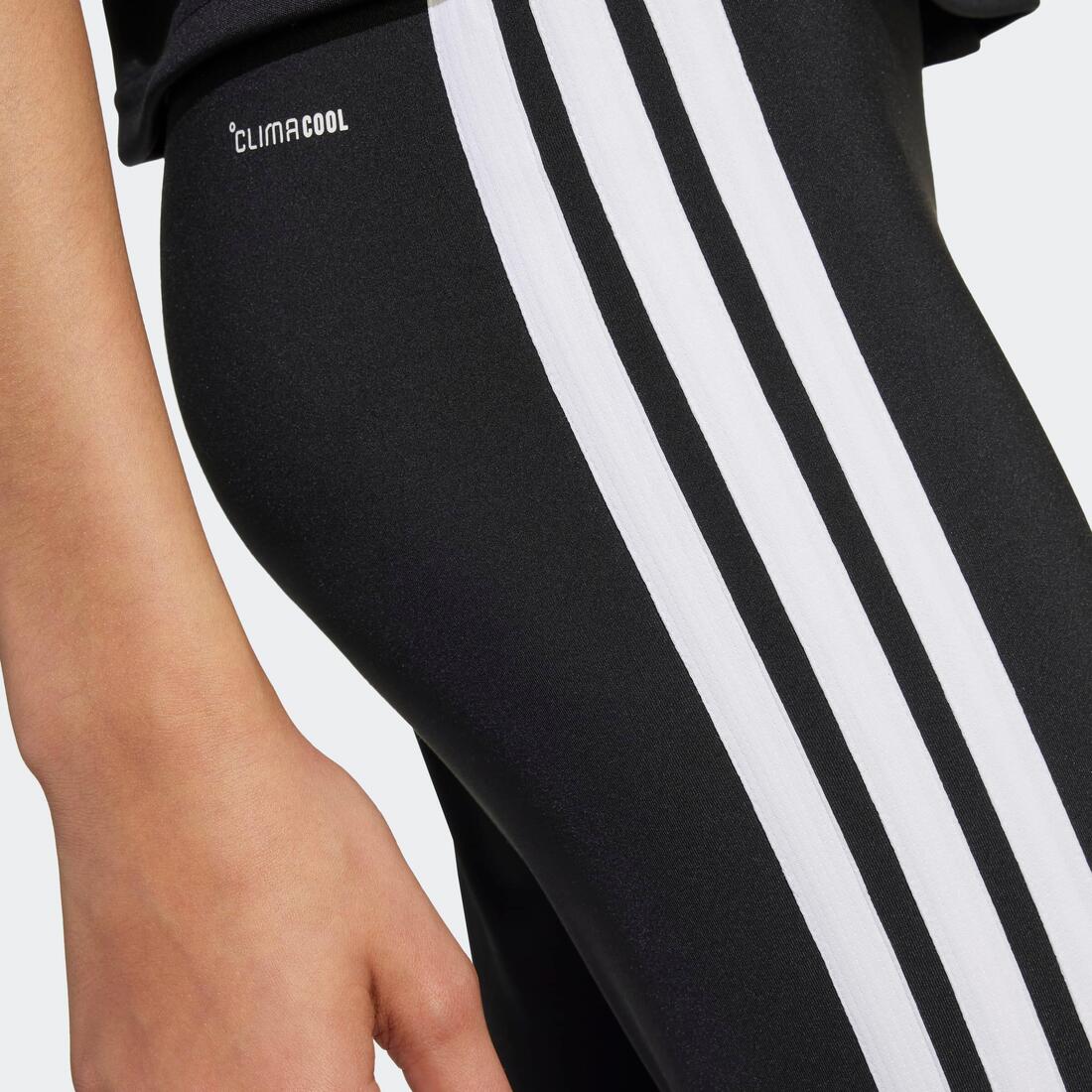 IMG_1009028712_6