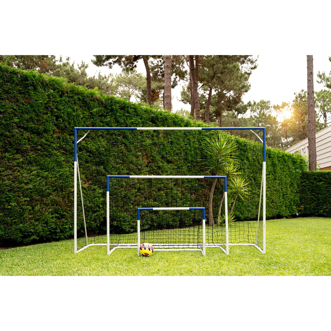 IMG_8881581_8