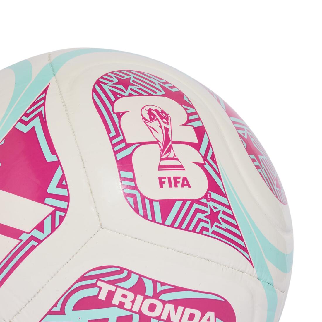 IMG_1008998321_4
