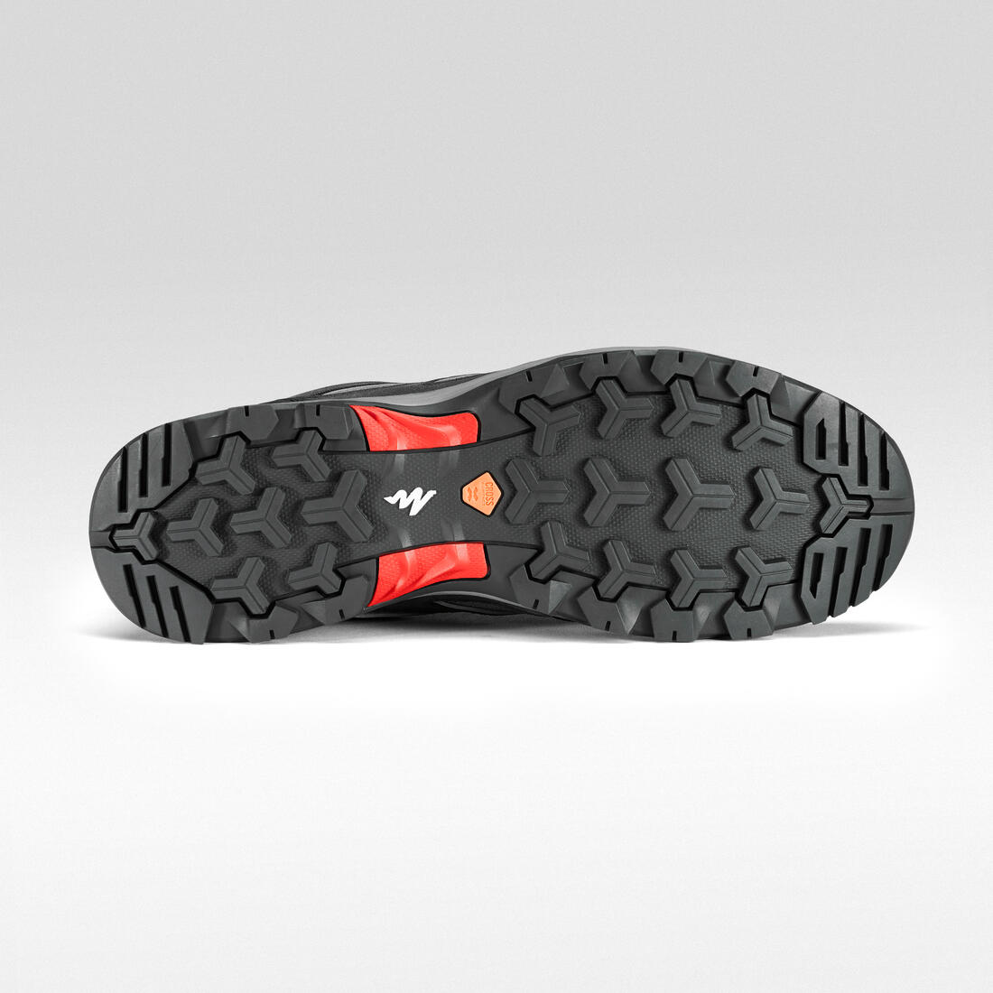 IMG_8503796_5