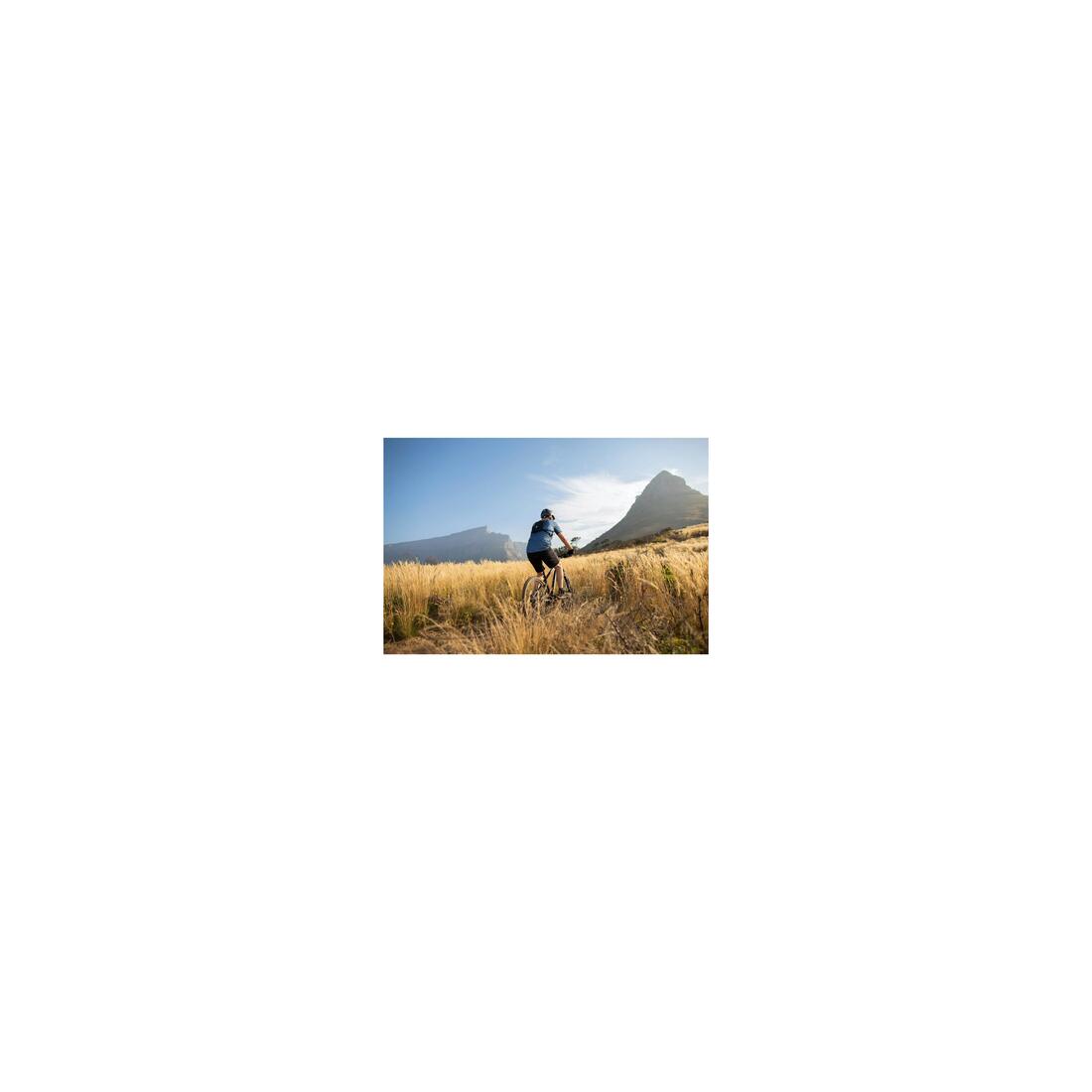 IMG_8602020_4