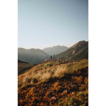 Product thumbnail 15 of 19