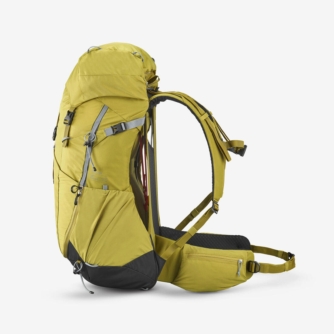 IMG_8903408_12
