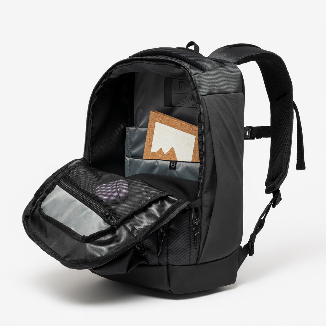 IMG_8649496_9