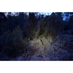 Product thumbnail 10 of 12