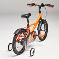IMG_2255537