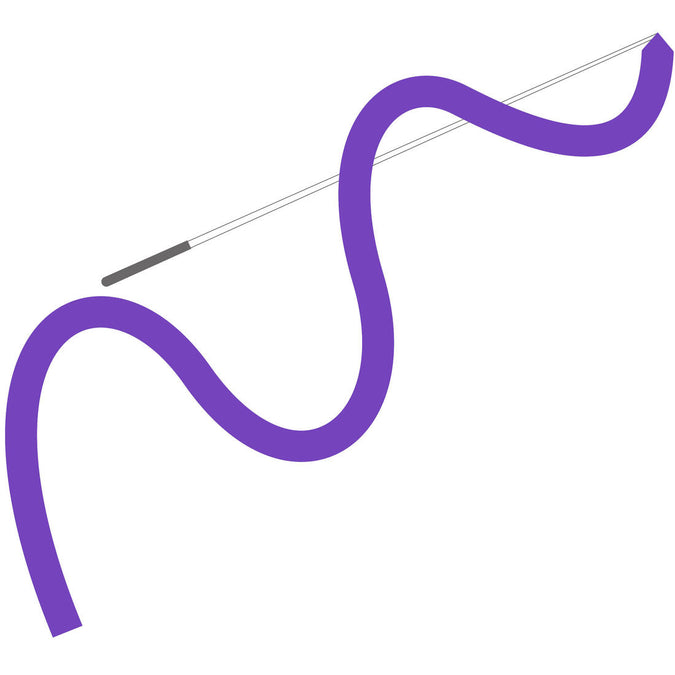 Rhythmic Gymnastics (RG) Ribbon, Customisable, Purple